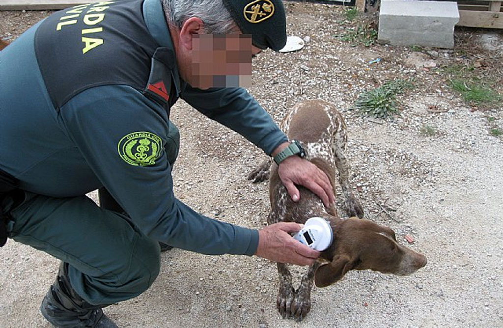 La Guardia Civil recupera un perro de caza robado en Totana